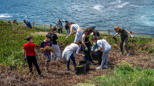 Un grupo de alumnos del IES O Couto realiza una jornada de retirada de especies exóticas invasoras, en el entorno de la Torre de Hércules