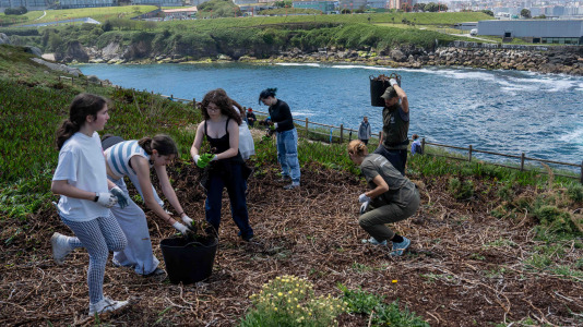 Un grupo de alumnos del IES O Couto realiza una jornada de retirada de especies exóticas invasoras, en el entorno de la Torre de Hércules