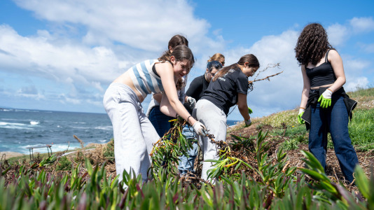 Un grupo de alumnos del IES O Couto realiza una jornada de retirada de especies exóticas invasoras, en el entorno de la Torre de Hércules