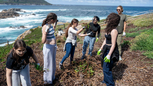 Un grupo de alumnos del IES O Couto realiza una jornada de retirada de especies exóticas invasoras, en el entorno de la Torre de Hércules