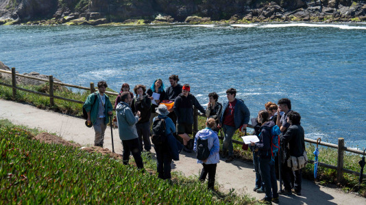 Un grupo de alumnos del IES O Couto realiza una jornada de retirada de especies exóticas invasoras, en el entorno de la Torre de Hércules