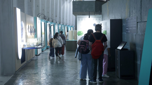 Los museos científicos de la ciudad han realizado una jornada de puertas abiertas para celebrar su día. El museo de Bellas Artes se ha unido, con obradoiros y visitas guiadas
