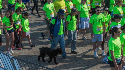 En Marcha contra el Cáncer
