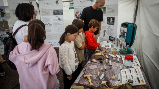 Más de 30 centros educativos sacaron la ciencia al paseo marítimo de O Burgo en la octava edición de la feria de ciencia escolar organizada por el CEIP Ría do Burgo y el Ayuntamiento de Culleredo.