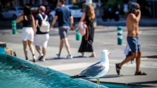 El frescor del mar de la bahía del Orzán se convierte este sábado en la mejor opción para sobrellevar el calor, que tiene a la ciudad en alerta por temperaturas de hasta más de 34 grados