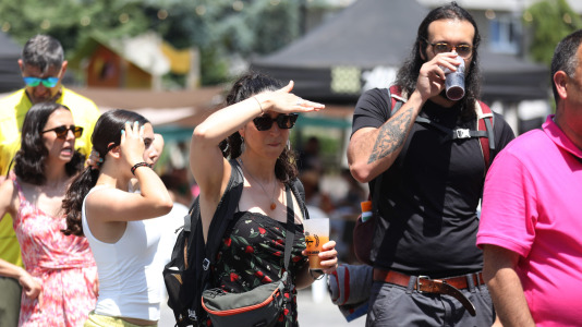 Música y gastronomía se unieron para celebrar el verano vecinal
