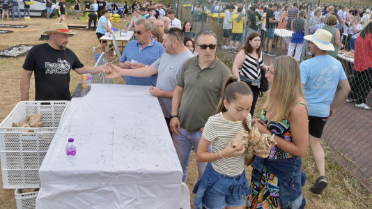La comisión de San Juan de Anceis despachó ayer cerca de 2.000 raciones –más de 900 kilos– de cigala en uno de los eventos más multitudinarios del año en el municipio cambrés