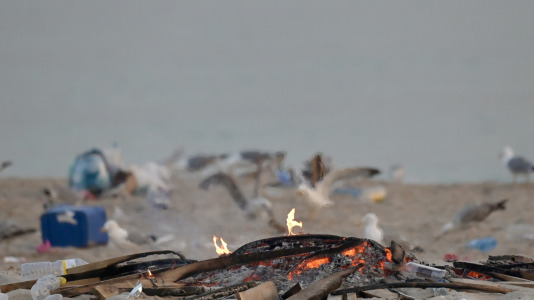 El Paseo Marítimo de A Coruña amaneció con toneladas de basura