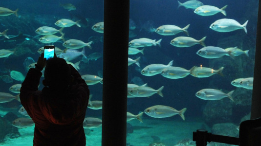 El público de la Casa de los Peces tenía en Gastón uno de sus grandes objetivos