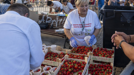 Al menos 600 personas hicieron fila para saborear los 300 kilos de fresas que se repartieron