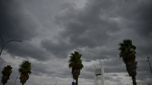 Viandantes sorteando el viento y árboles caídos han sido las escenas más comunes este martes en la ciudad