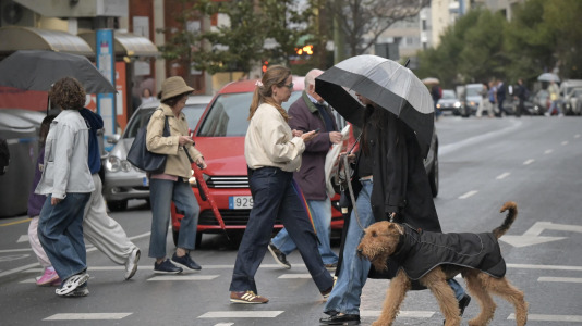 Viandantes sorteando el viento y árboles caídos han sido las escenas más comunes este martes en la ciudad