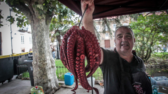 Pulpo y churrasco en la plaza de Azcárraga para el día mayor de las fiestas, amenizado con el concierto de Os Revenidos