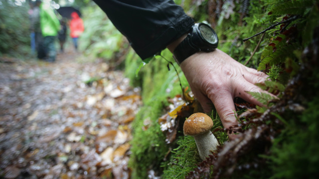 Imágen de la noticia