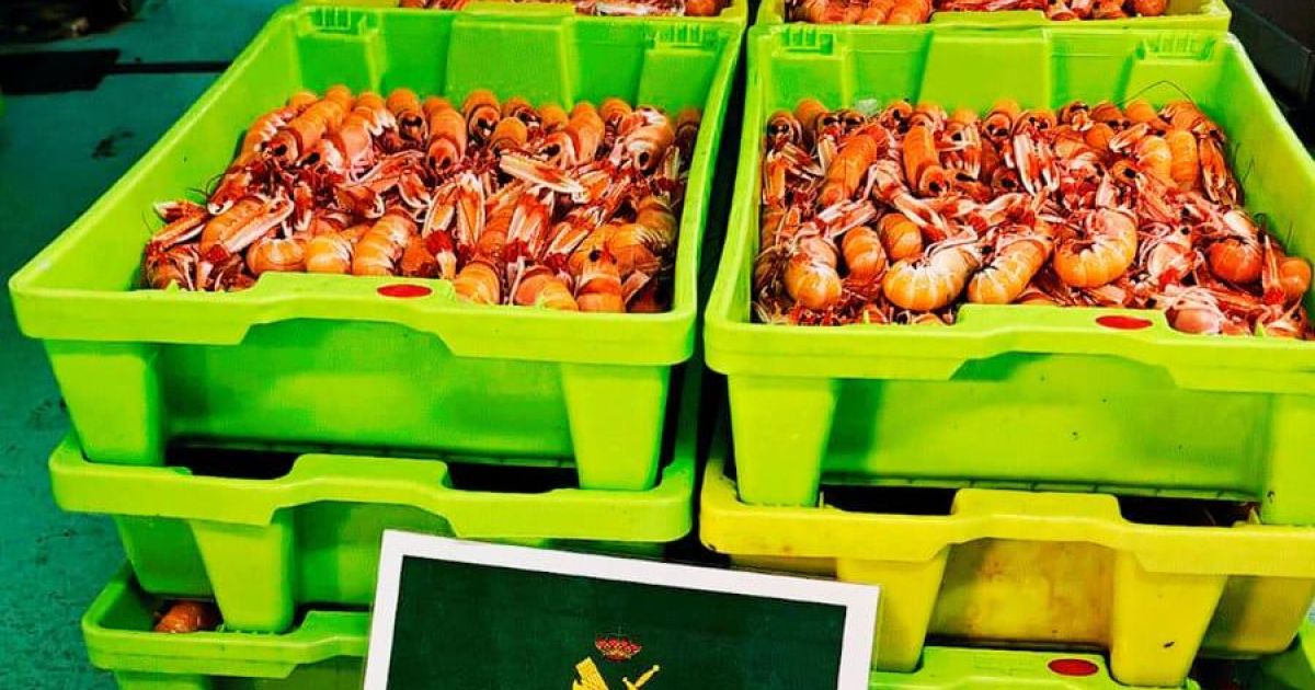 Intervenidos de camino a A Coruña 146 kilos de cigala sin documentos ...